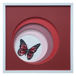 Obscure Red Butterfly 1 - 52.5 x 52.5cm