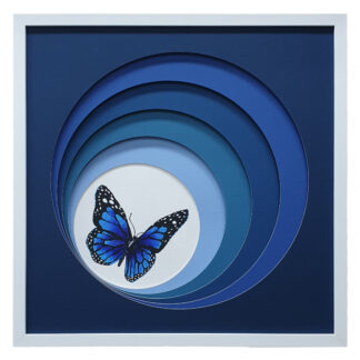 Obscure Blue Butterfly 1 - 52.5 x 52.5cm