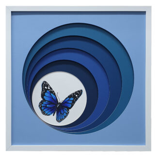 Obscure Blue Butterfly 2 - 52.5 x 52.5cm