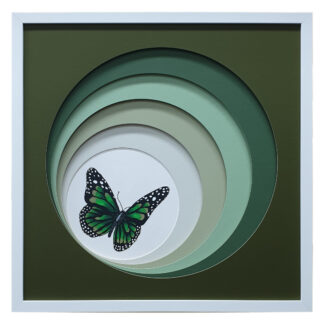 Obscure Green Butterfly 1 - 52.5 x 52.5cm