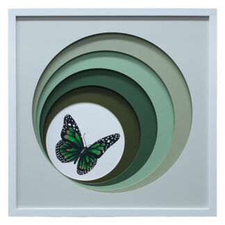 Obscure Green Butterfly 2 - 52.5 x 52.5cm